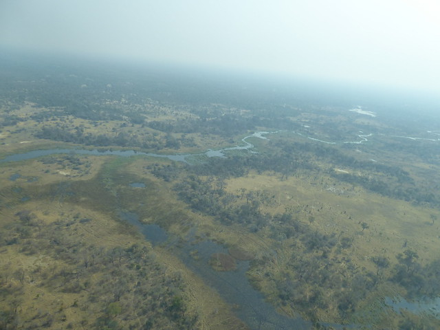 Vuelo sobre el Delta del Okavango. Llegamos a Moremi. - POR ZIMBABWE Y BOTSWANA, DE NOVATOS EN EL AFRICA AUSTRAL (15)