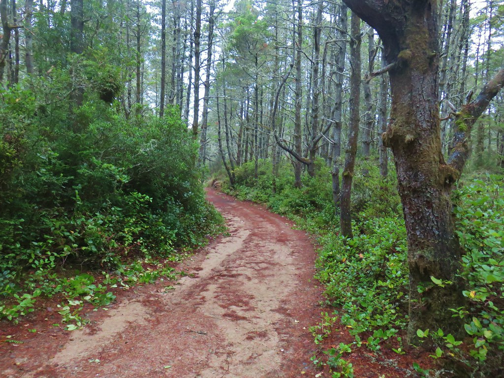 Waxmyrtle Trail