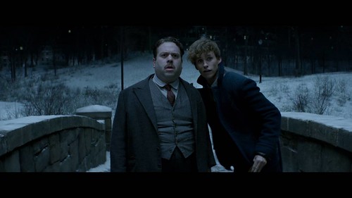 Fantastic Beasts and Where to Find Them - Screenshot 24