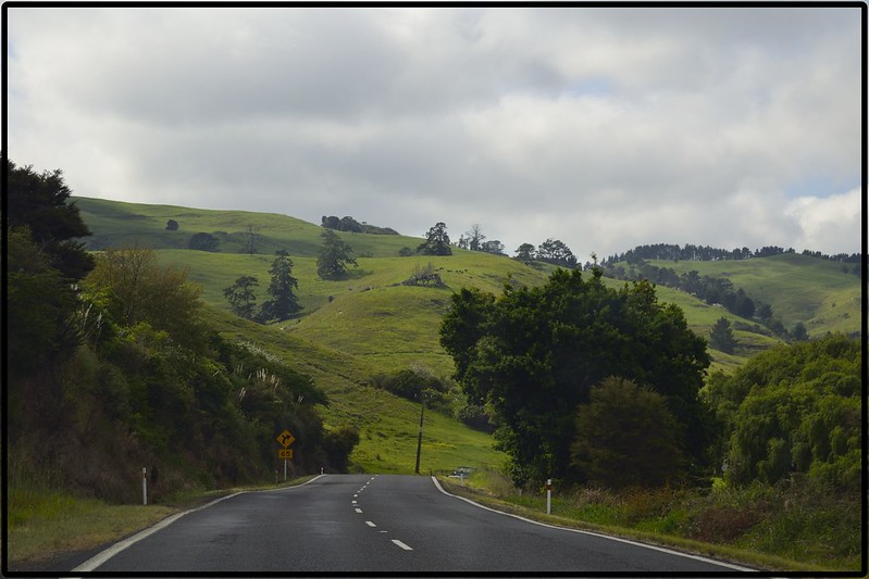 NOS VAMOS A HOBBITON!! - NUEVA ZELANDA 2018. EN EL PAÍS DE LA GRAN NUBE NEGRA. (2)