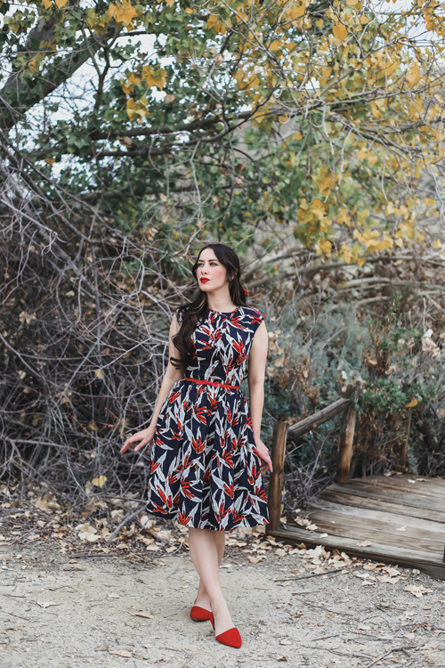 Hearts and Found Amelia Dress in The Plant Whisperer Floral Print